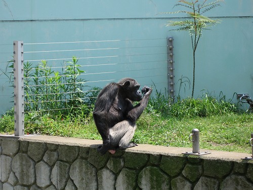 福岡市動物園1