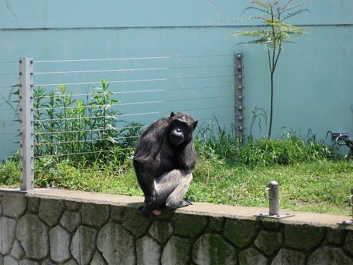 福岡市動物園2