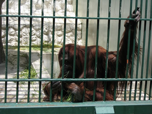 福岡市動物園13