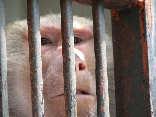 福岡市動物園23