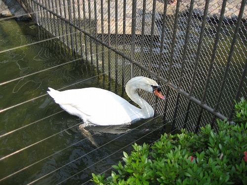 福岡市動物園1