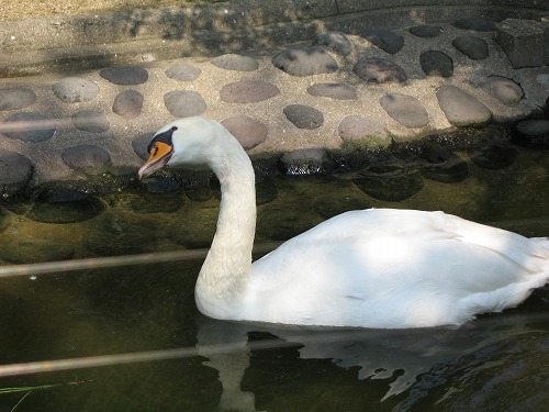 福岡市動物園2