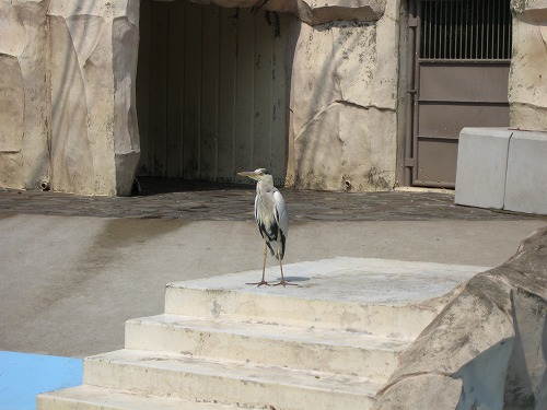 福岡市動物園25