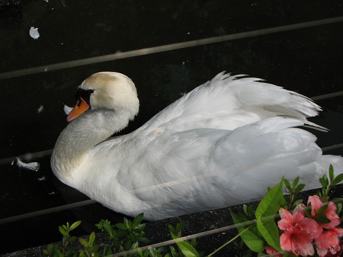 福岡市動物園3