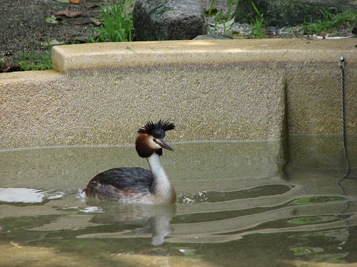 福岡市動物園29