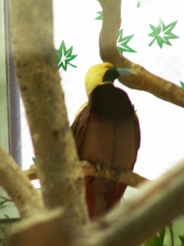 福岡市動物園17
