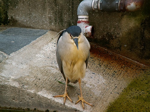 福岡市動物園21