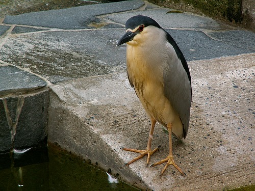 福岡市動物園22
