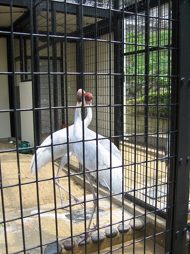 福岡市動物園21