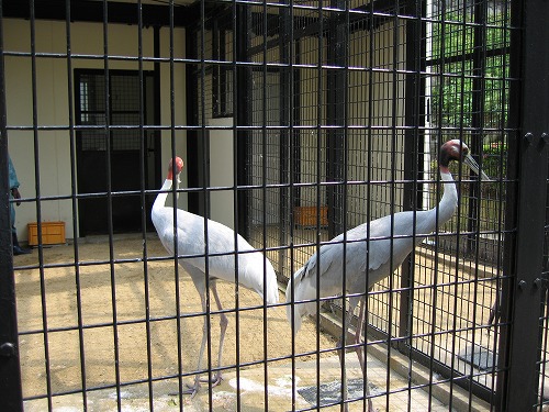 福岡市動物園20