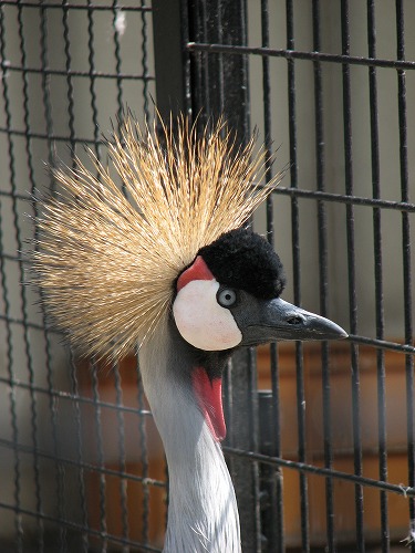 福岡市動物園18