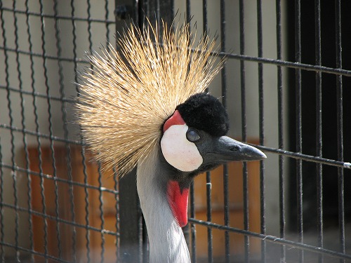福岡市動物園1