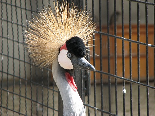 福岡市動物園3