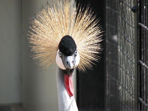 福岡市動物園7