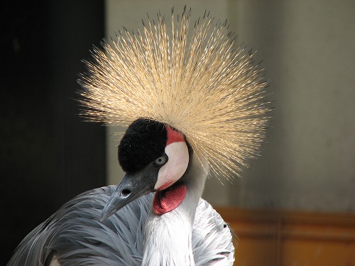 福岡市動物園8