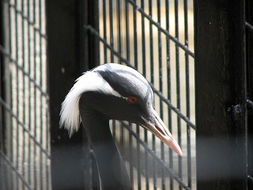 福岡市動物園22