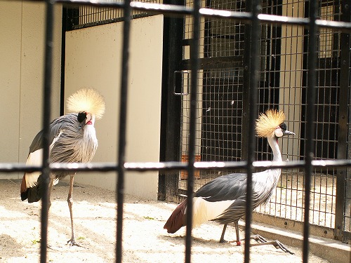 福岡市動物園12