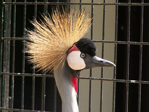 福岡市動物園14