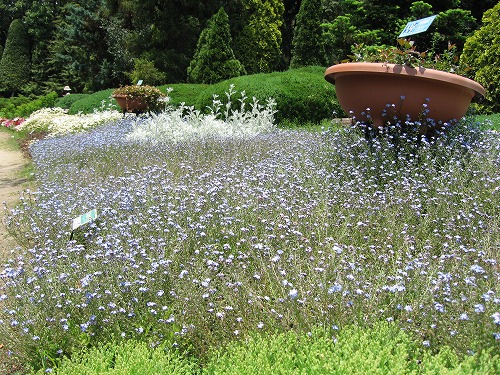 福岡市植物園22