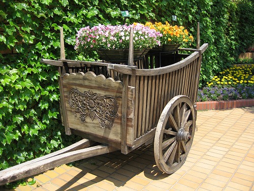 福岡市植物園24