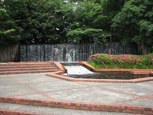 福岡市植物園8