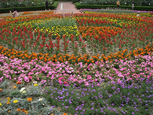 福岡市植物園10