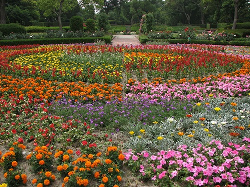 福岡市植物園9