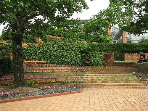 福岡市植物園12