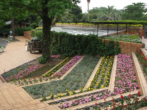 福岡市植物園11