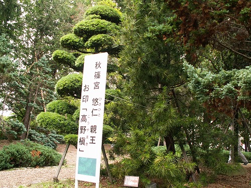 福岡市植物園14