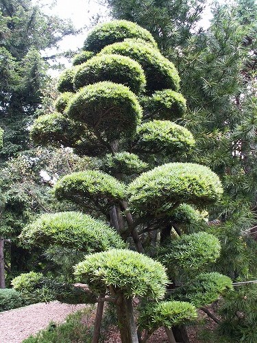 福岡市植物園21