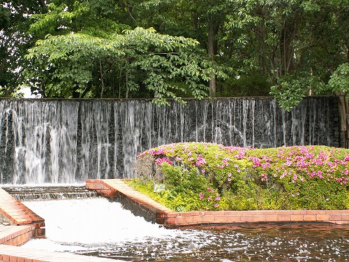 福岡市植物園3