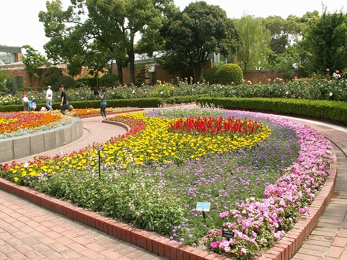 福岡市植物園16
