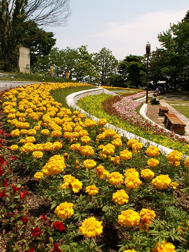 福岡市植物園17