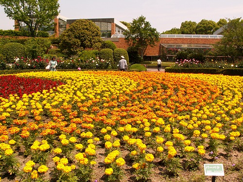 福岡市植物園1