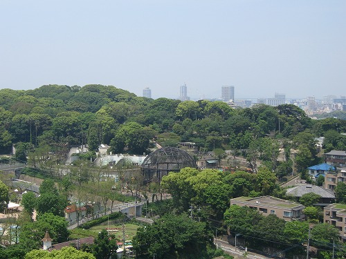 福岡市植物園展望台30