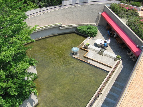 福岡市植物園展望台6