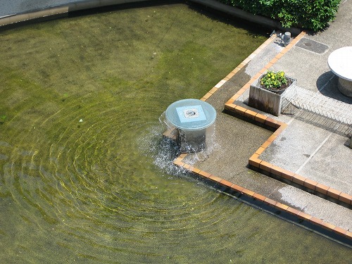 福岡市植物園展望台7