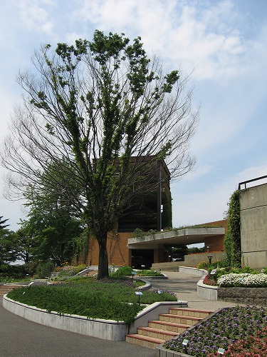 福岡市植物園展望台1