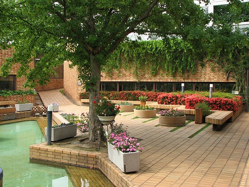福岡市植物園展望台8