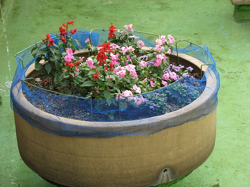 福岡市植物園展望台10