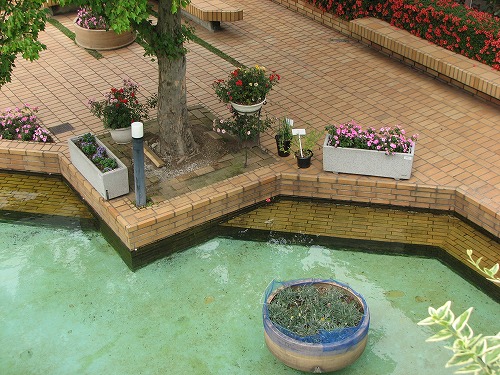 福岡市植物園展望台13