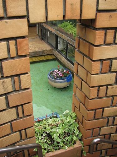 福岡市植物園展望台4