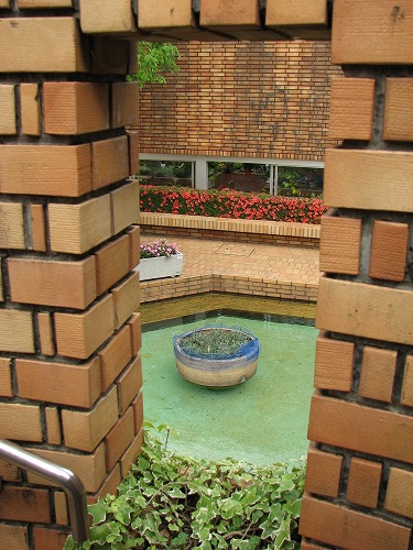 福岡市植物園展望台5