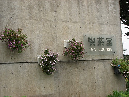 福岡市植物園展望台19