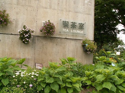 福岡市植物園展望台21