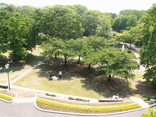 福岡市植物園展望台23