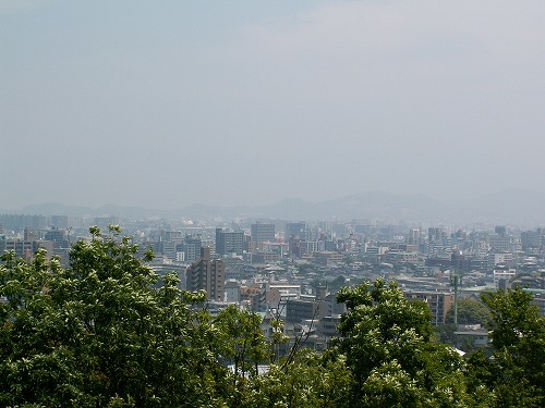福岡市植物園展望台29