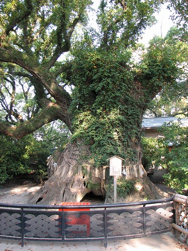 筥崎宮9