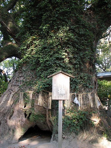 筥崎宮10